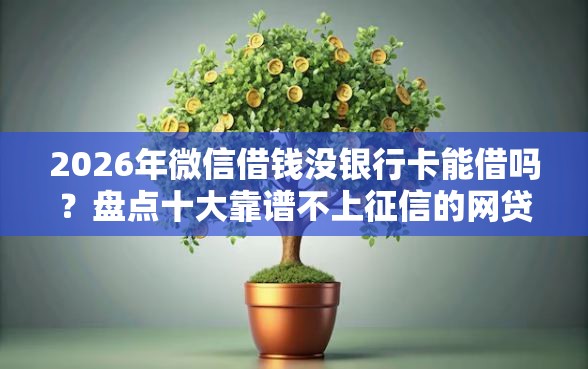 2026年微信借钱没银行卡能借吗？盘点十大靠谱不上征信的网贷平台