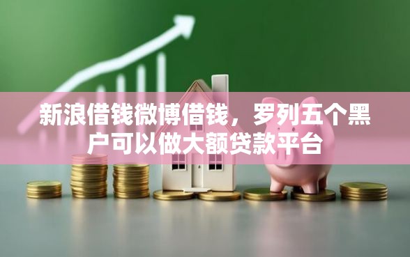 新浪借钱微博借钱，罗列五个黑户可以做大额贷款平台