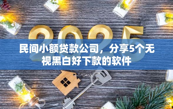 民间小额贷款公司，分享5个无视黑白好下款的软件