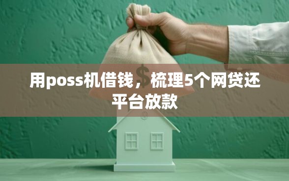 用poss机借钱，梳理5个网贷还平台放款