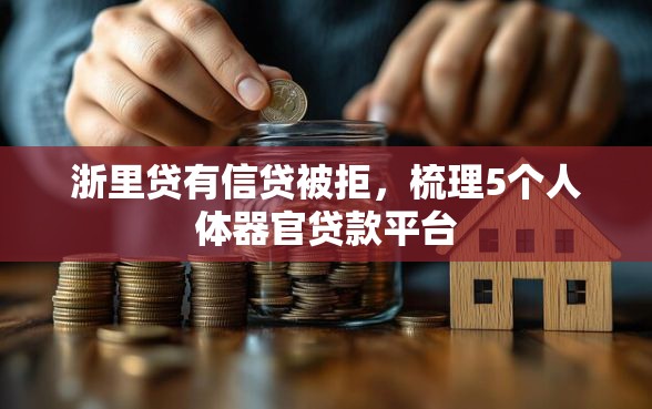 浙里贷有信贷被拒，梳理5个人体器官贷款平台
