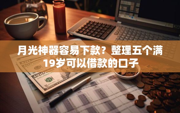 月光神器容易下款？整理五个满19岁可以借款的口子