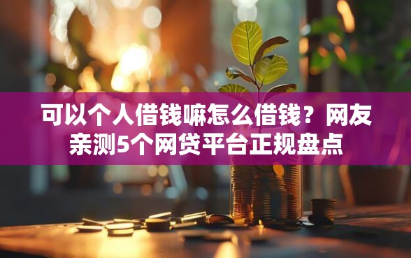 可以个人借钱嘛怎么借钱？网友亲测5个网贷平台正规盘点