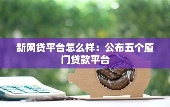 新网贷平台怎么样：公布五个厦门贷款平台