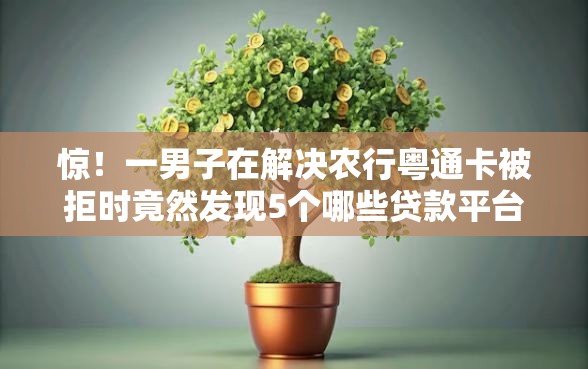 惊！一男子在解决农行粤通卡被拒时竟然发现5个哪些贷款平台不上征信，事后分享了出来