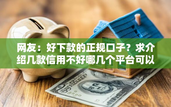 网友：好下款的正规口子？求介绍几款信用不好哪几个平台可以借钱