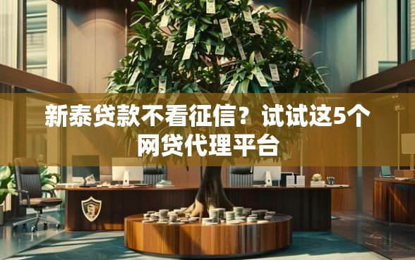 新泰贷款不看征信？试试这5个网贷代理平台