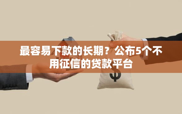 最容易下款的长期？公布5个不用征信的贷款平台