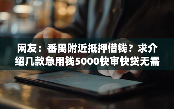 网友：番禺附近抵押借钱？求介绍几款急用钱5000快审快贷无需征信app