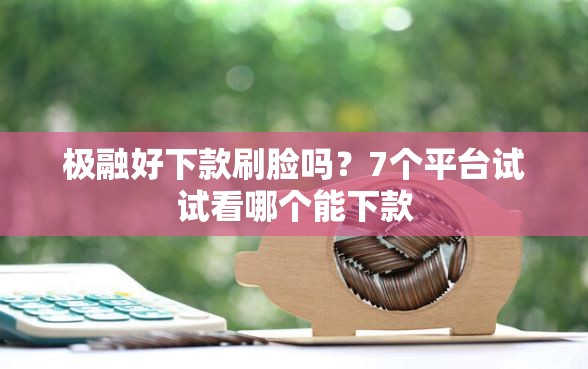 极融好下款刷脸吗？7个平台试试看哪个能下款