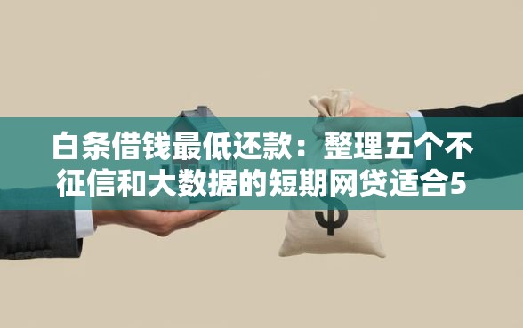 白条借钱最低还款：整理五个不征信和大数据的短期网贷适合58岁的平台