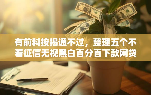 有前科按揭通不过，整理五个不看征信无视黑白百分百下款网贷平台