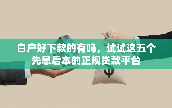 白户好下款的有吗，试试这五个先息后本的正规贷款平台