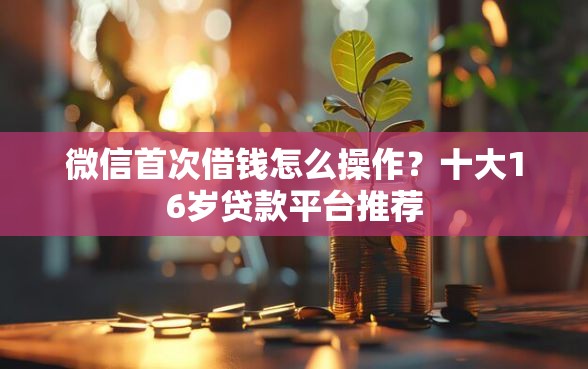 微信首次借钱怎么操作？十大16岁贷款平台推荐