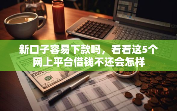 新口子容易下款吗，看看这5个网上平台借钱不还会怎样