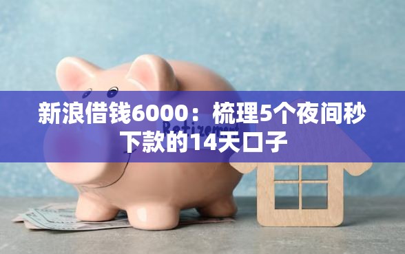 新浪借钱6000：梳理5个夜间秒下款的14天口子
