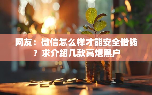 网友：微信怎么样才能安全借钱？求介绍几款高炮黑户
