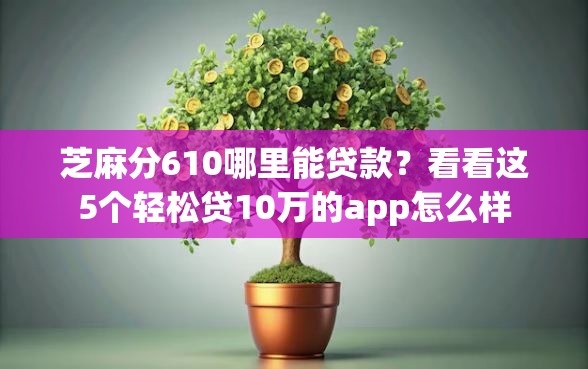 芝麻分610哪里能贷款？看看这5个轻松贷10万的app怎么样