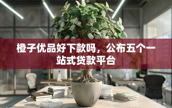 橙子优品好下款吗，公布五个一站式贷款平台