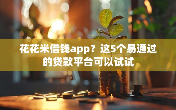 花花米借钱app？这5个易通过的贷款平台可以试试