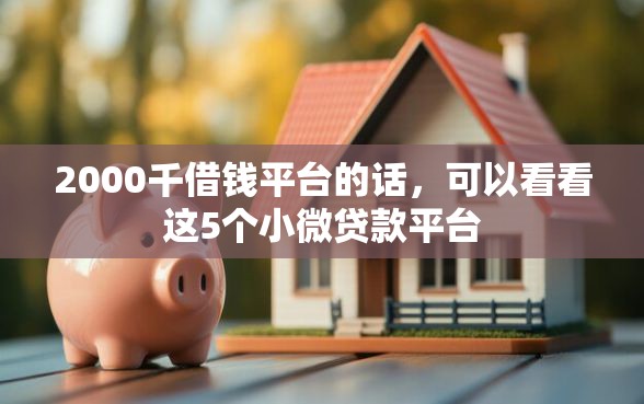 2000千借钱平台的话，可以看看这5个小微贷款平台