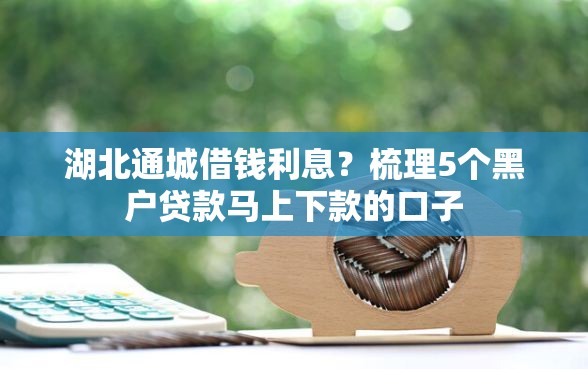 湖北通城借钱利息？梳理5个黑户贷款马上下款的口子