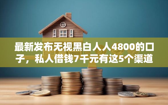 最新发布无视黑白人人4800的口子，私人借钱7千元有这5个渠道
