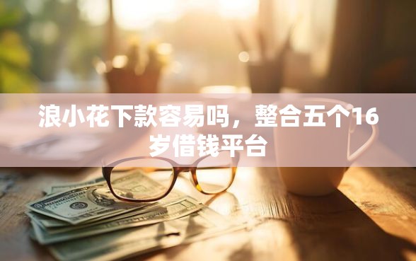 浪小花下款容易吗，整合五个16岁借钱平台