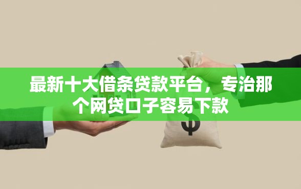 最新十大借条贷款平台，专治那个网贷口子容易下款