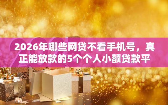 2026年哪些网贷不看手机号,真正能放款的5个个人小额贷款平台推荐 2026年哪些网贷不看手机号,真正能放款的5个个人小额贷款平台推荐