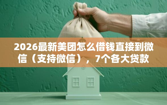 2026最新美团怎么借钱直接到微信（支持微信），7个各大贷款平台无私分享