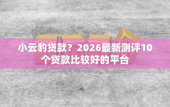 小云豹贷款？2026最新测评10个贷款比较好的平台