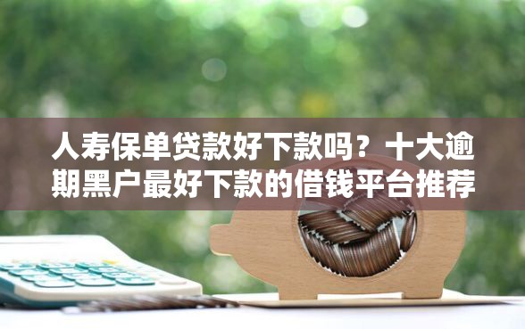 人寿保单贷款好下款吗？十大逾期黑户最好下款的借钱平台推荐