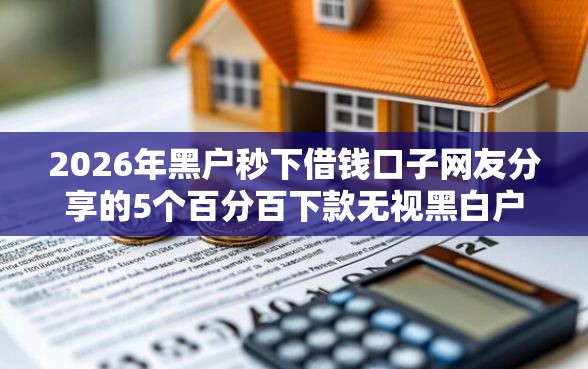 2026年黑户秒下借钱口子网友分享的5个百分百下款无视黑白户口子我觉得不错！