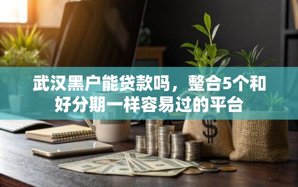 武汉黑户能贷款吗，整合5个和好分期一样容易过的平台