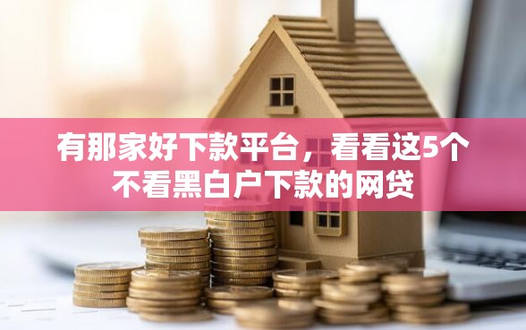 有那家好下款平台，看看这5个不看黑白户下款的网贷