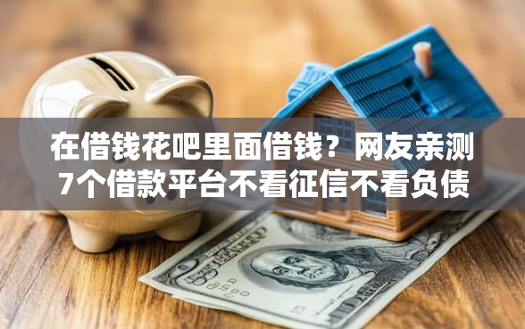 在借钱花吧里面借钱？网友亲测7个借款平台不看征信不看负债盘点