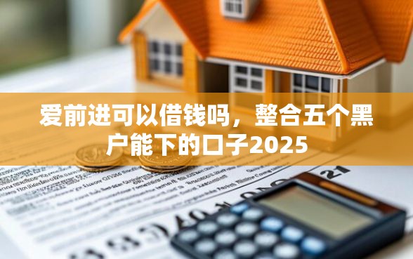 爱前进可以借钱吗，整合五个黑户能下的口子2025