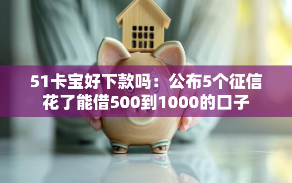 51卡宝好下款吗：公布5个征信花了能借500到1000的口子