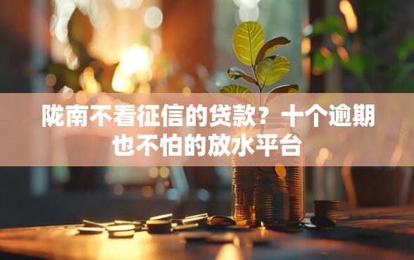 陇南不看征信的贷款？十个逾期也不怕的放水平台