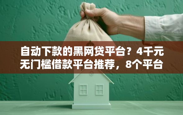 自动下款的黑网贷平台？4千元无门槛借款平台推荐，8个平台能借钱盘点