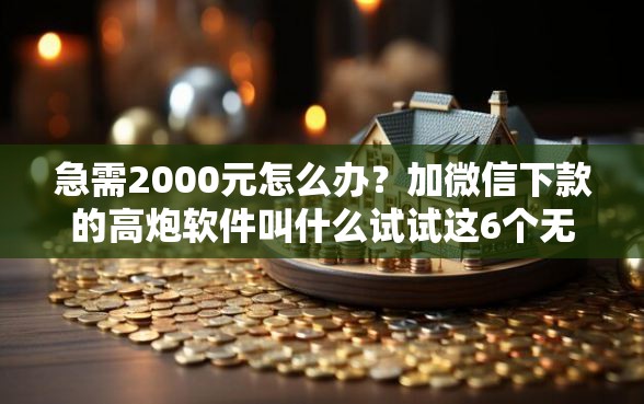 急需2000元怎么办？加微信下款的高炮软件叫什么试试这6个无门槛平台