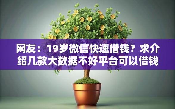 网友：19岁微信快速借钱？求介绍几款大数据不好平台可以借钱
