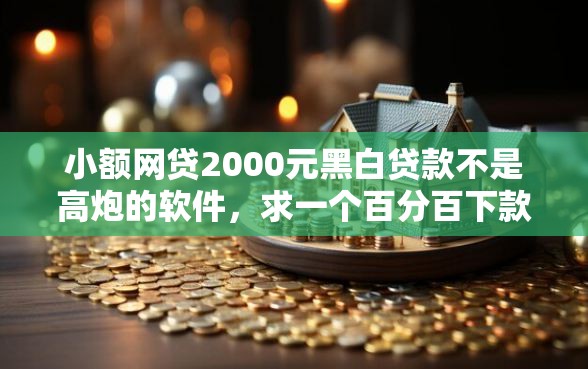 小额网贷2000元黑白贷款不是高炮的软件，求一个百分百下款的贷款软件的7个平台介绍