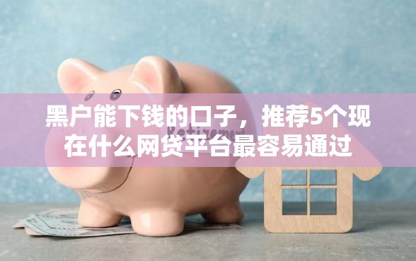 黑户能下钱的口子，推荐5个现在什么网贷平台最容易通过