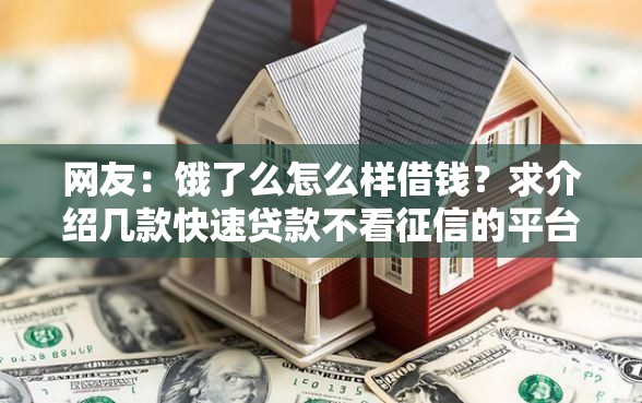 网友：饿了么怎么样借钱？求介绍几款快速贷款不看征信的平台