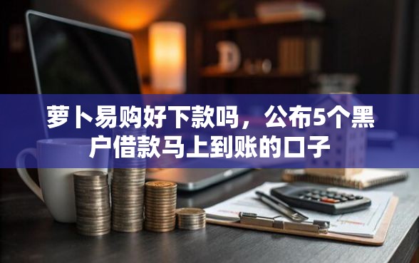 萝卜易购好下款吗，公布5个黑户借款马上到账的口子