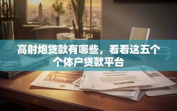 高射炮贷款有哪些，看看这五个个体户贷款平台