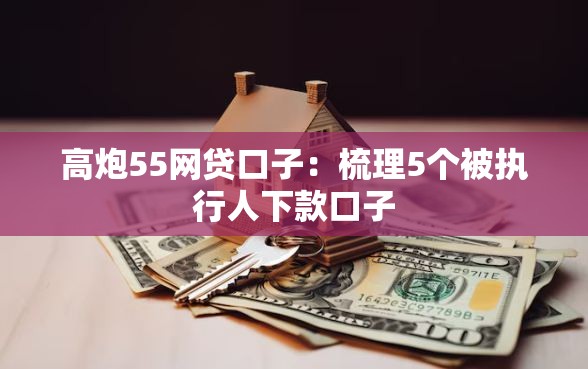 高炮55网贷口子：梳理5个被执行人下款口子
