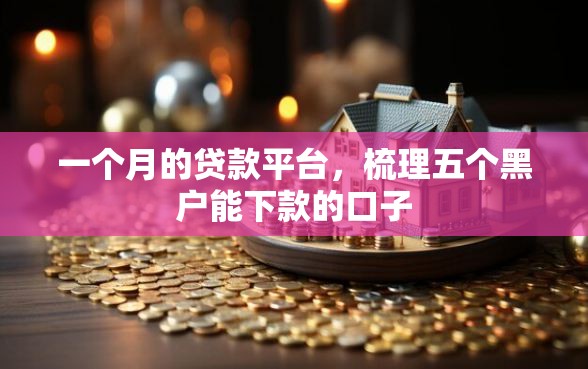 一个月的贷款平台，梳理五个黑户能下款的口子